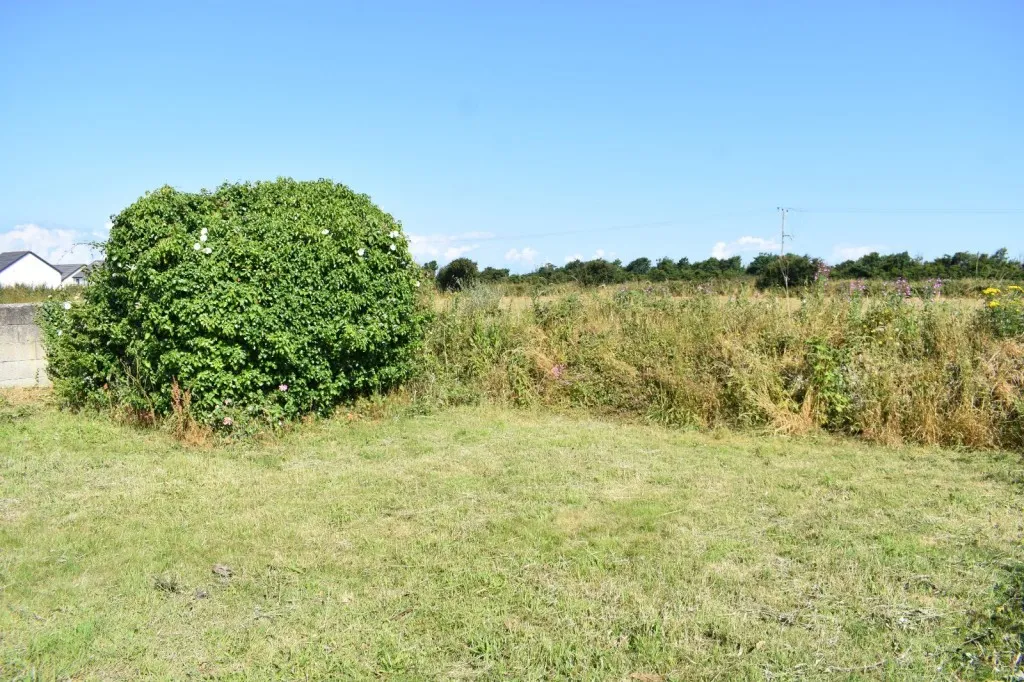 Connor Downs, Hayle, photo 7