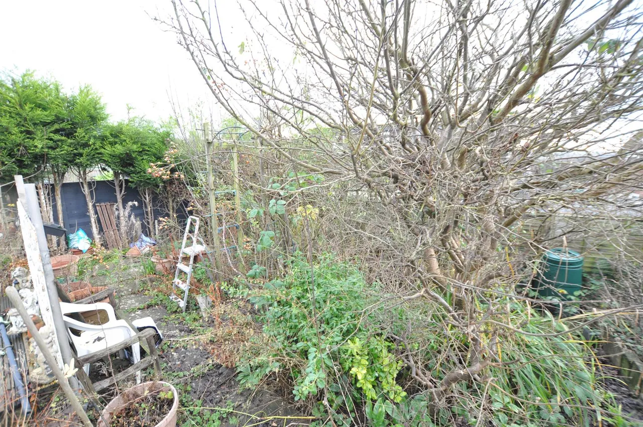 Charnwood Road, Burton-On-Trent, DE13, photo 11