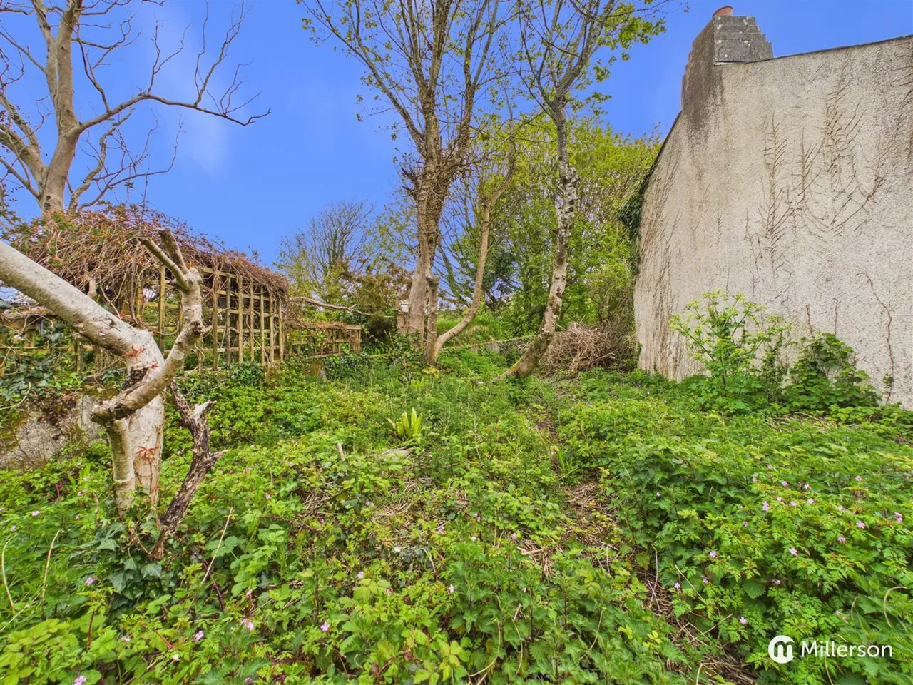 Carnarthen Moor, Carn Brea, TR15, photo 10