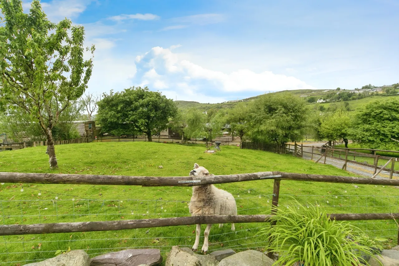 Dinorwic, Caernarfon, LL55, photo 14