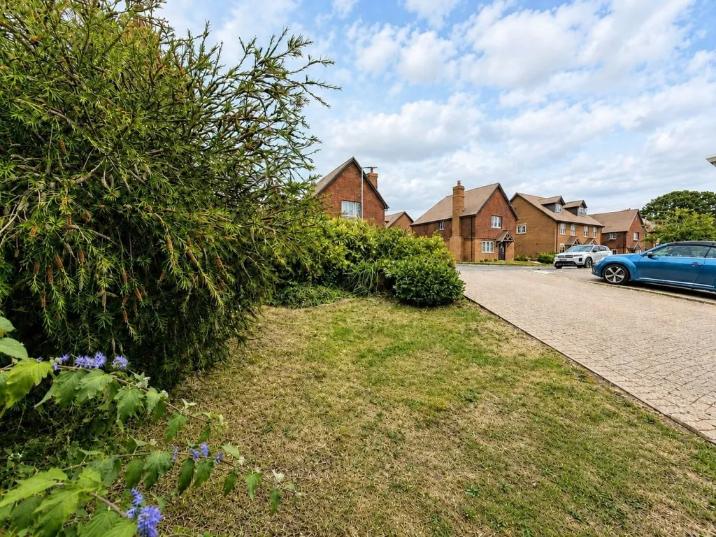 Fryatts Way, Bexhill on Sea, photo 22