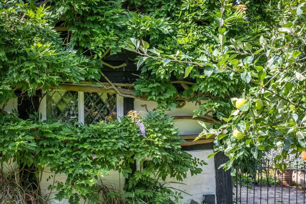 Furzen Lane, Rudgwick, RH12, photo 32