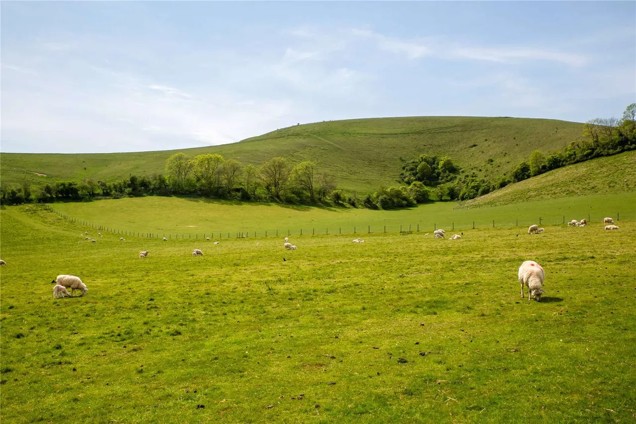 School Lane, Melbury Abbas, SP7, photo 22