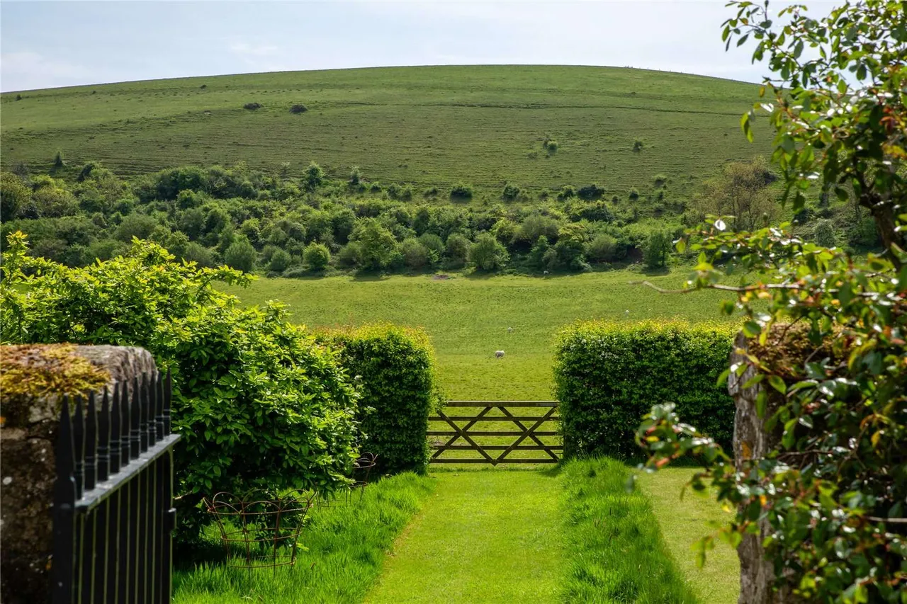 School Lane, Melbury Abbas, SP7, photo 23