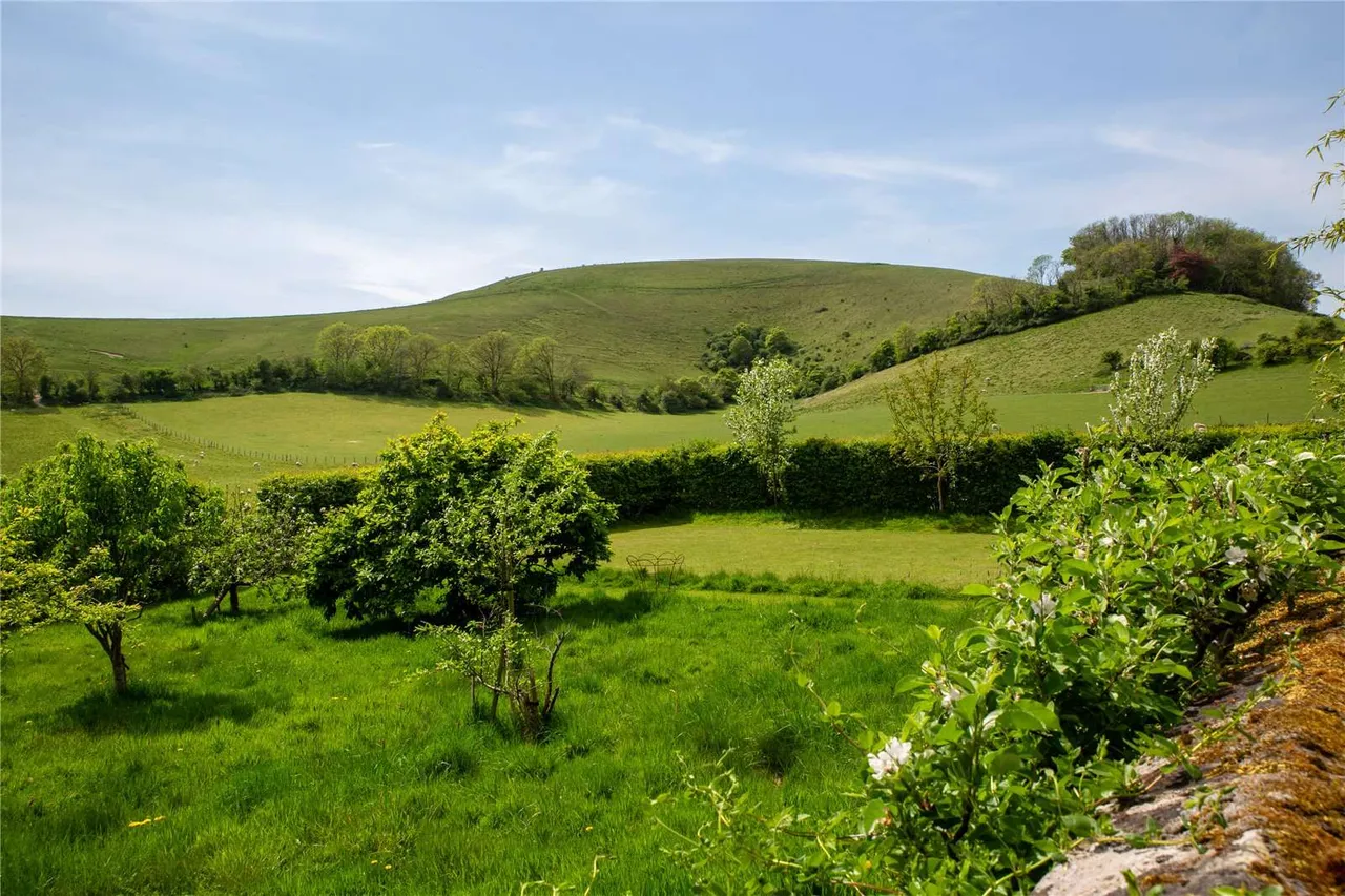 School Lane, Melbury Abbas, SP7, photo 21