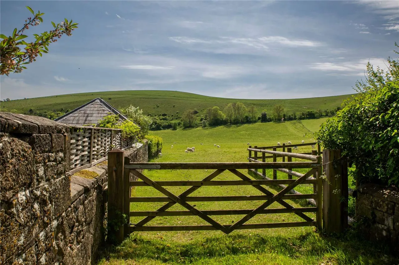 School Lane, Melbury Abbas, SP7, photo 16