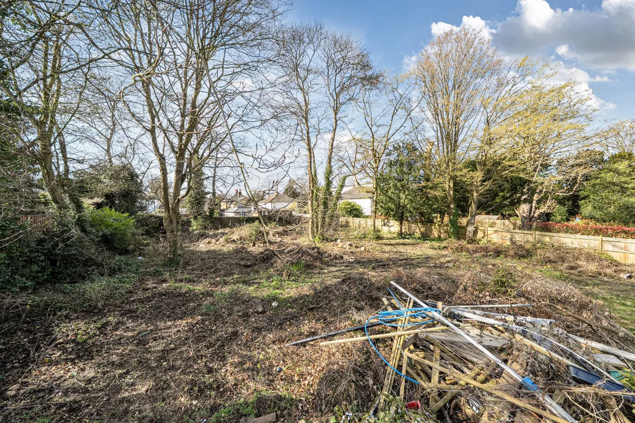 Longdon Wood, BR2, photo 8