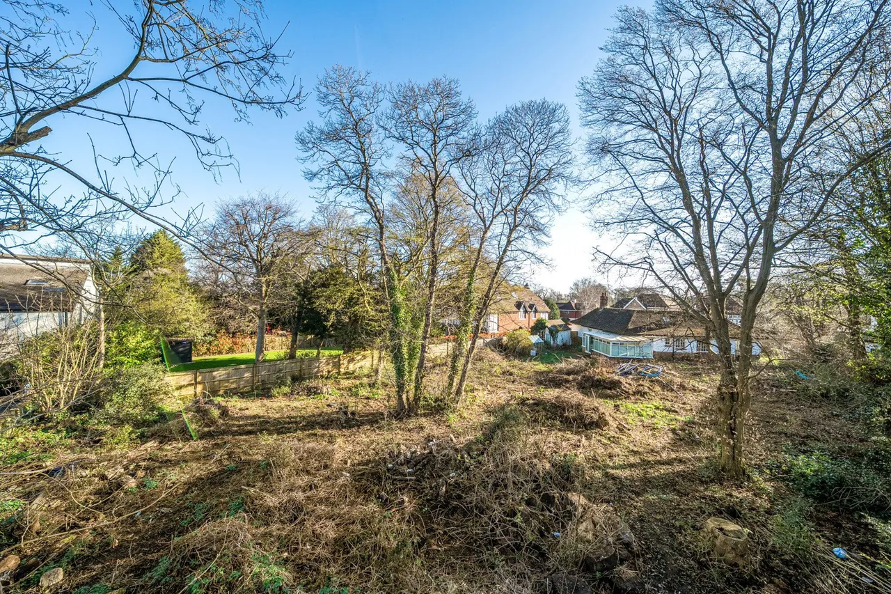 Longdon Wood, BR2, photo 12