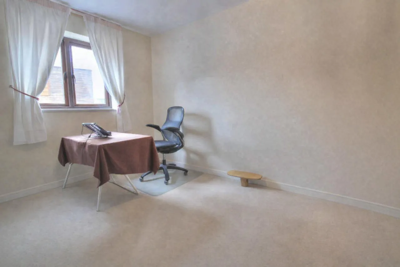 Ropley Way, Milton Keynes, MK10, photo 12