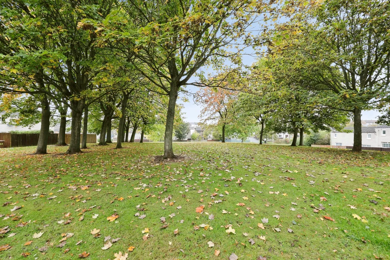 Mathieson Place, Dunfermline, KY11, photo 20