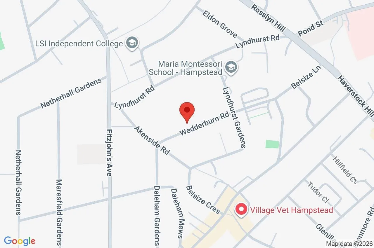 Wedderburn Road, Hampstead, NW3, photo 14