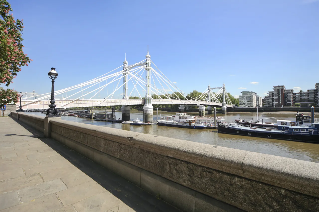 Cheyne Walk, London, SW3, photo 10