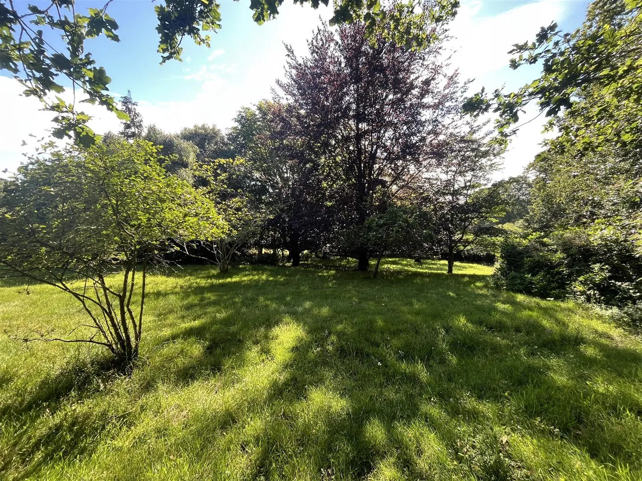 Waldron Down, Blackboys, Uckfield, TN22 5NB, photo 17
