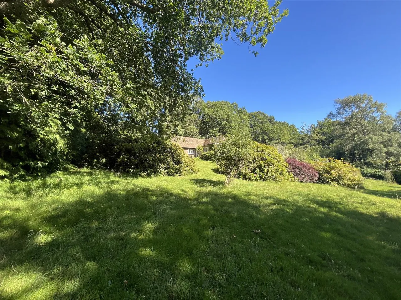 Waldron Down, Blackboys, Uckfield, TN22 5NB, photo 21