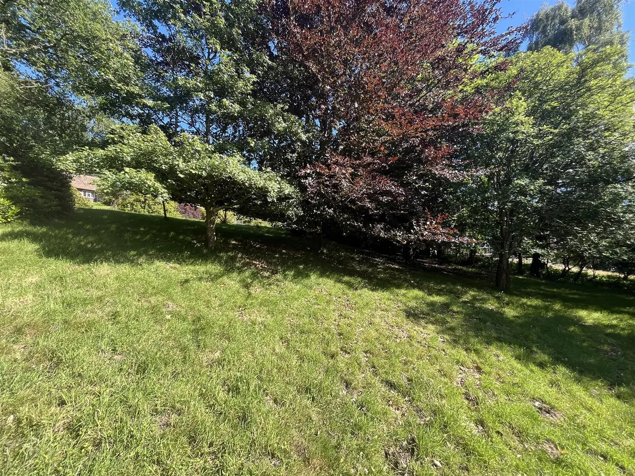 Waldron Down, Blackboys, Uckfield, TN22 5NB, photo 22