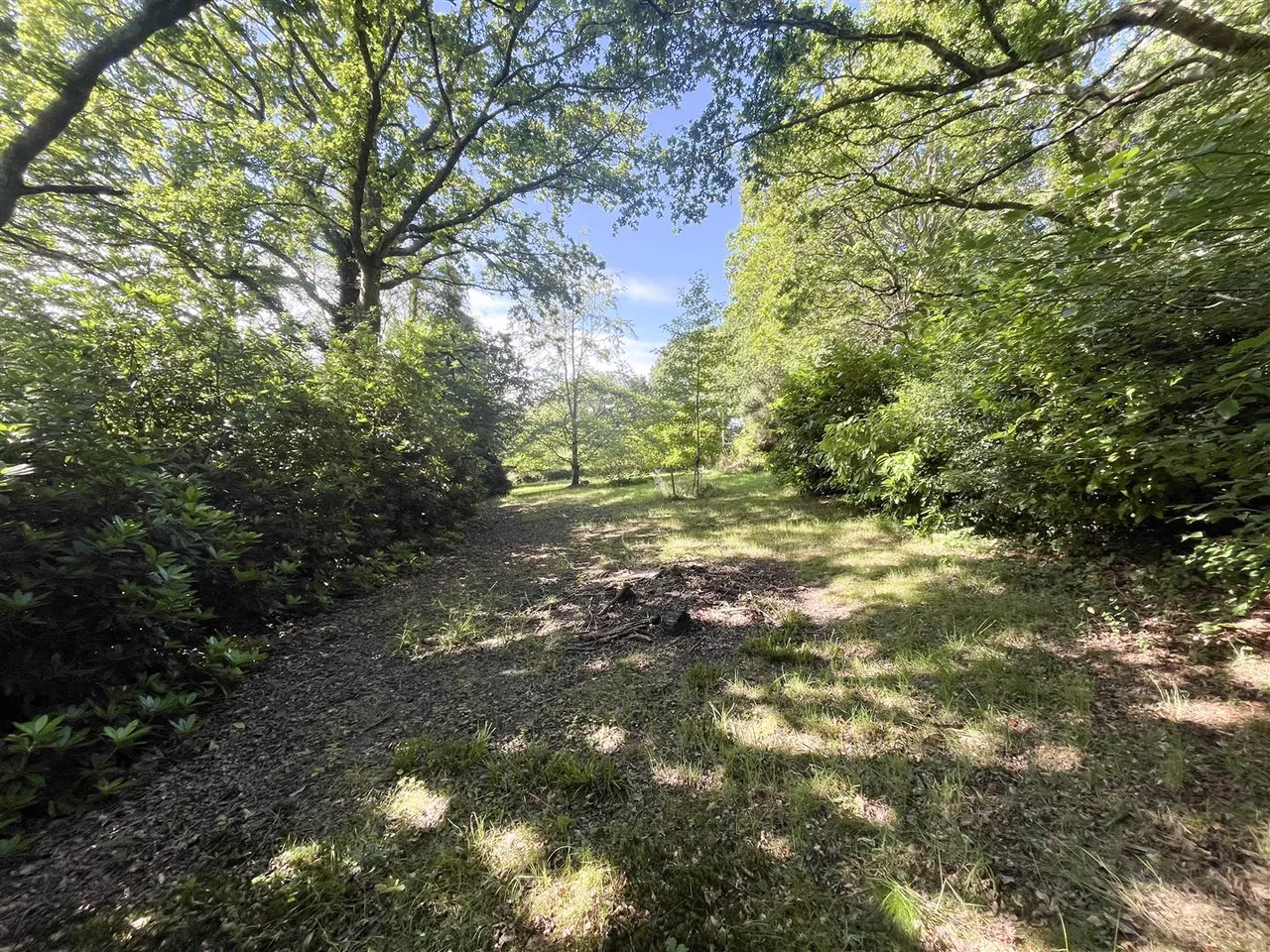 Waldron Down, Blackboys, Uckfield, TN22 5NB, photo 26