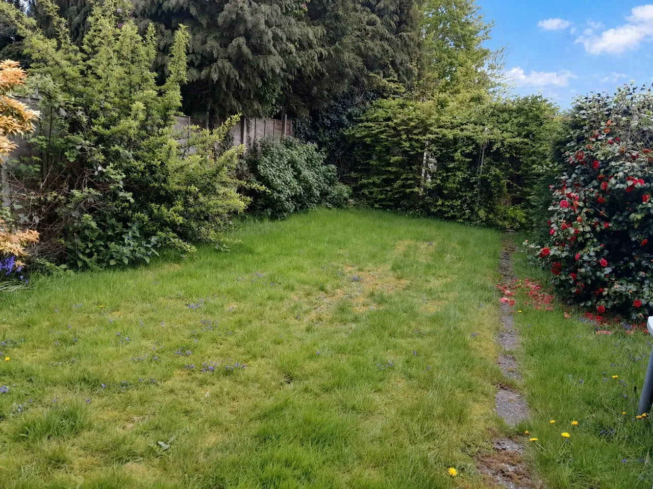 Hall Drive, Marston Green, Birmingham, B37, photo 9