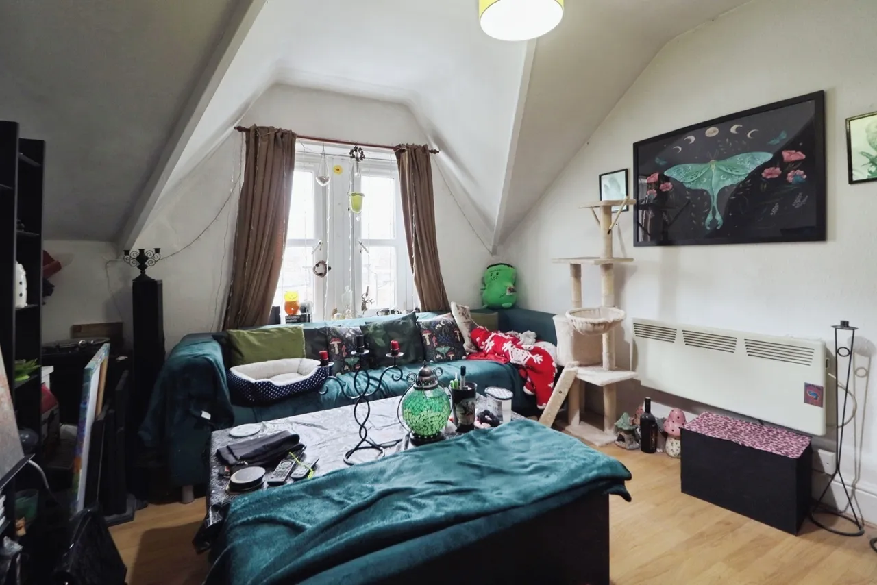 Claude Road, Cardiff, CF24, photo 37