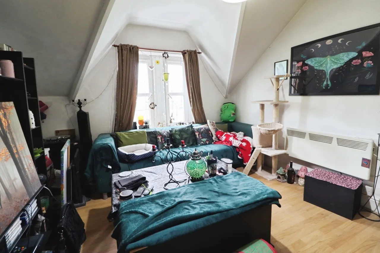 Claude Road, Cardiff, CF24, photo 40