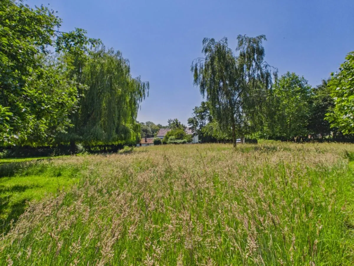 Thorpe Road, Haddiscoe, photo 10