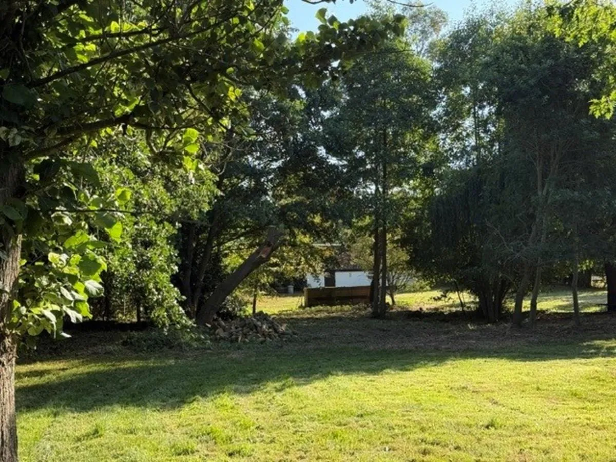 Thorpe Road, Haddiscoe, photo 33