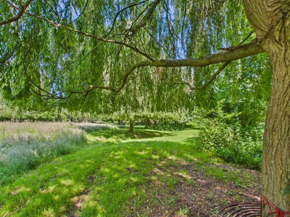 Thorpe Road, Haddiscoe, photo 26