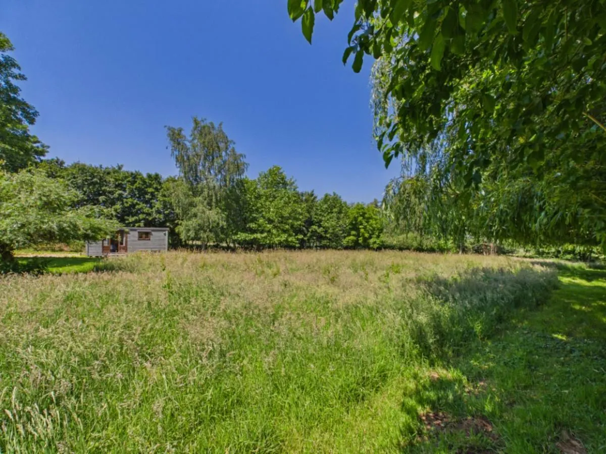 Thorpe Road, Haddiscoe, photo 25