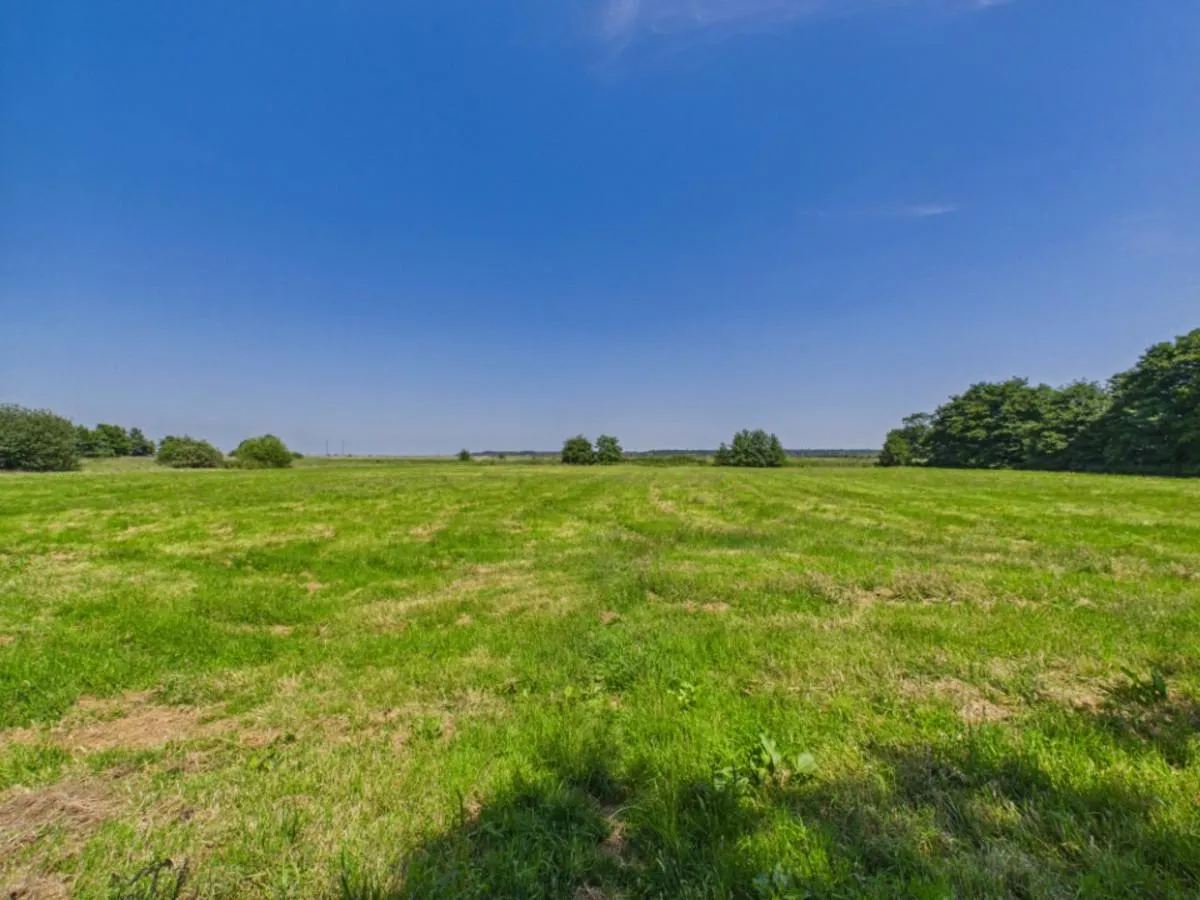 Thorpe Road, Haddiscoe, photo 28