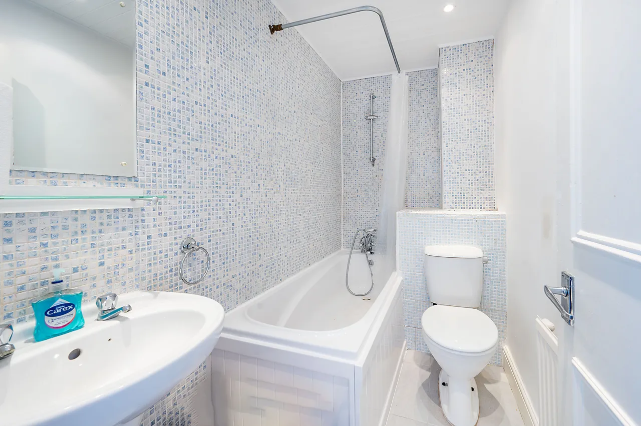11b Brougham Road, London, photo 5