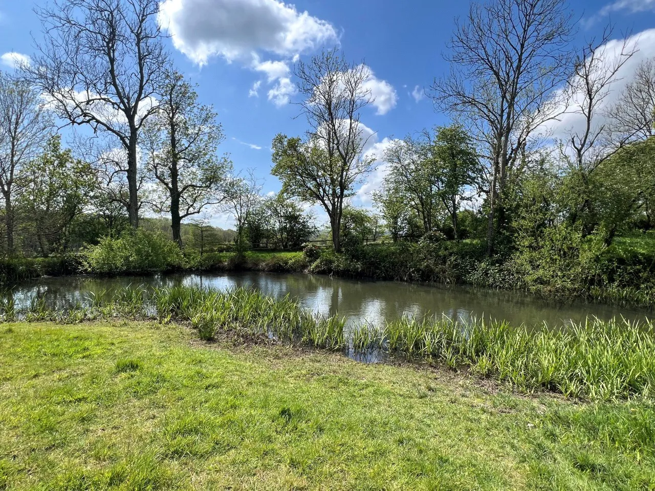 Haremere Hill, Etchingham, TN19, photo 20