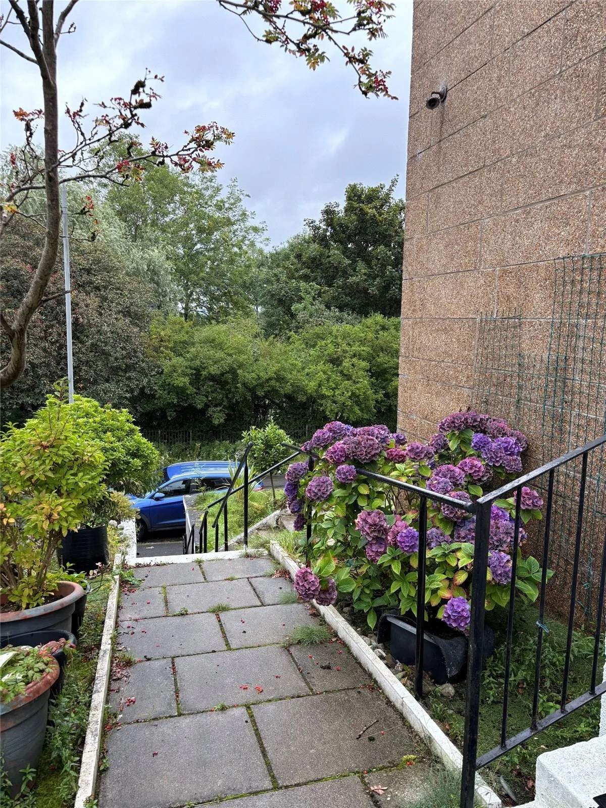 Brassey Street, Ruchill, G20, photo 11
