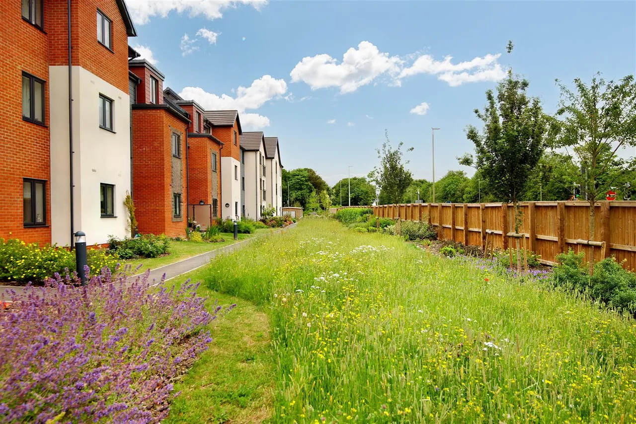 Shortwood Copse Lane, Kempshott, RG23, photo 29