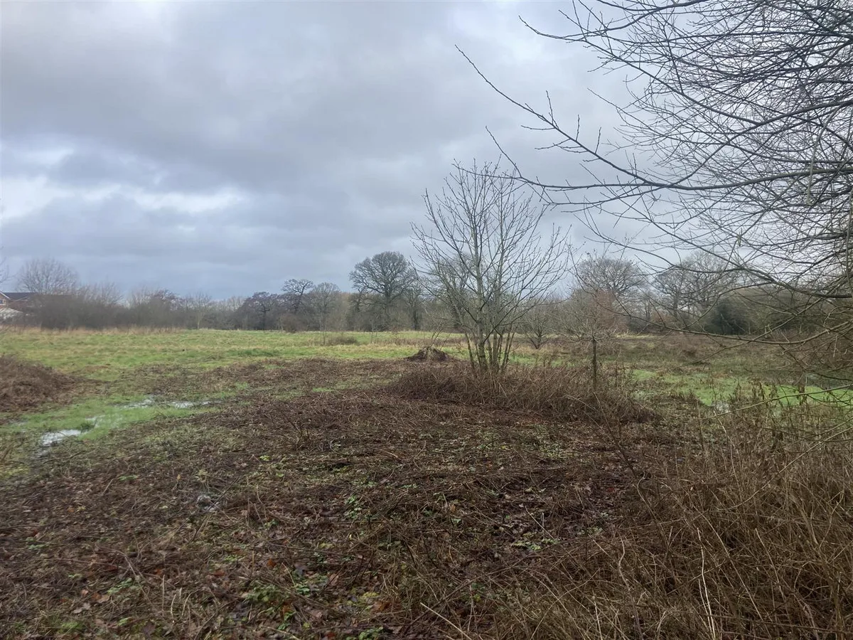 Weston Lane, Shavington, CW2, photo 6