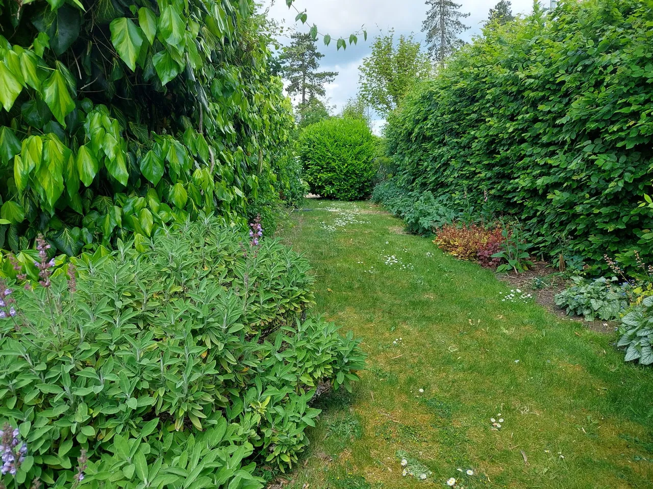 Newman Road, Devizes, SN10, photo 55