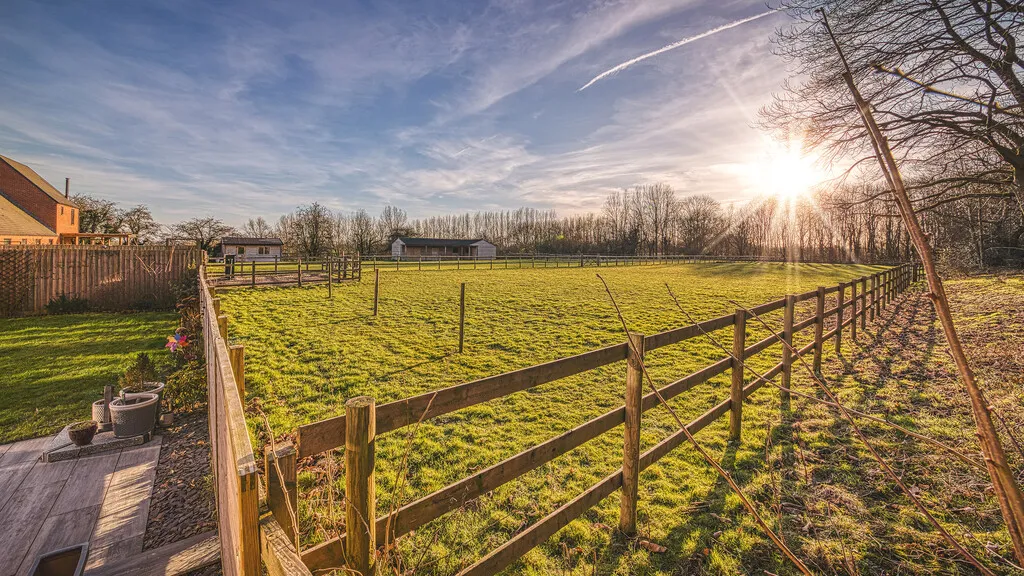The Firs, Wyaston, photo 25