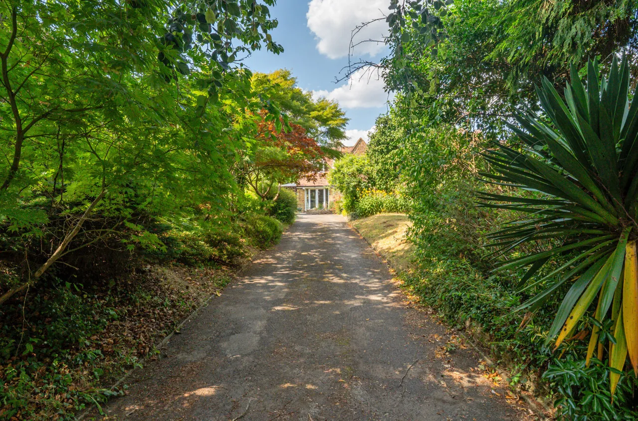 Church Lane, Witley, GU8, photo 5