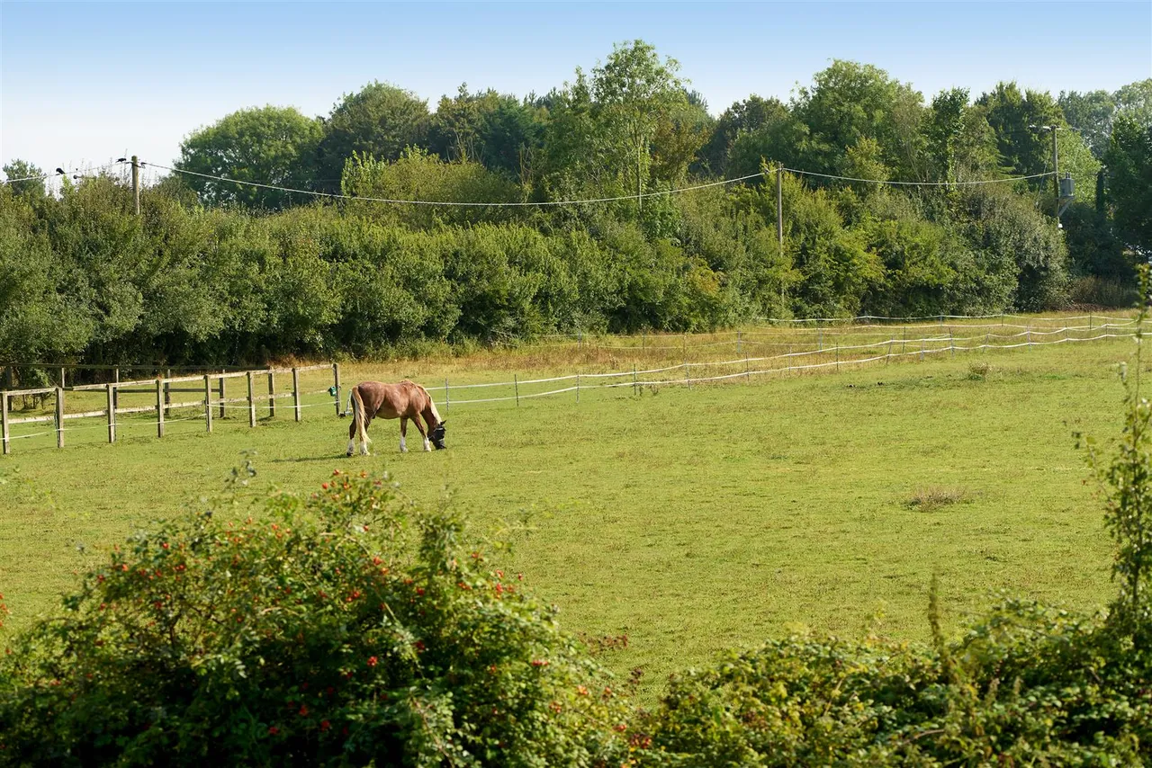 Coopers Close, Aslacton, NR15, photo 8