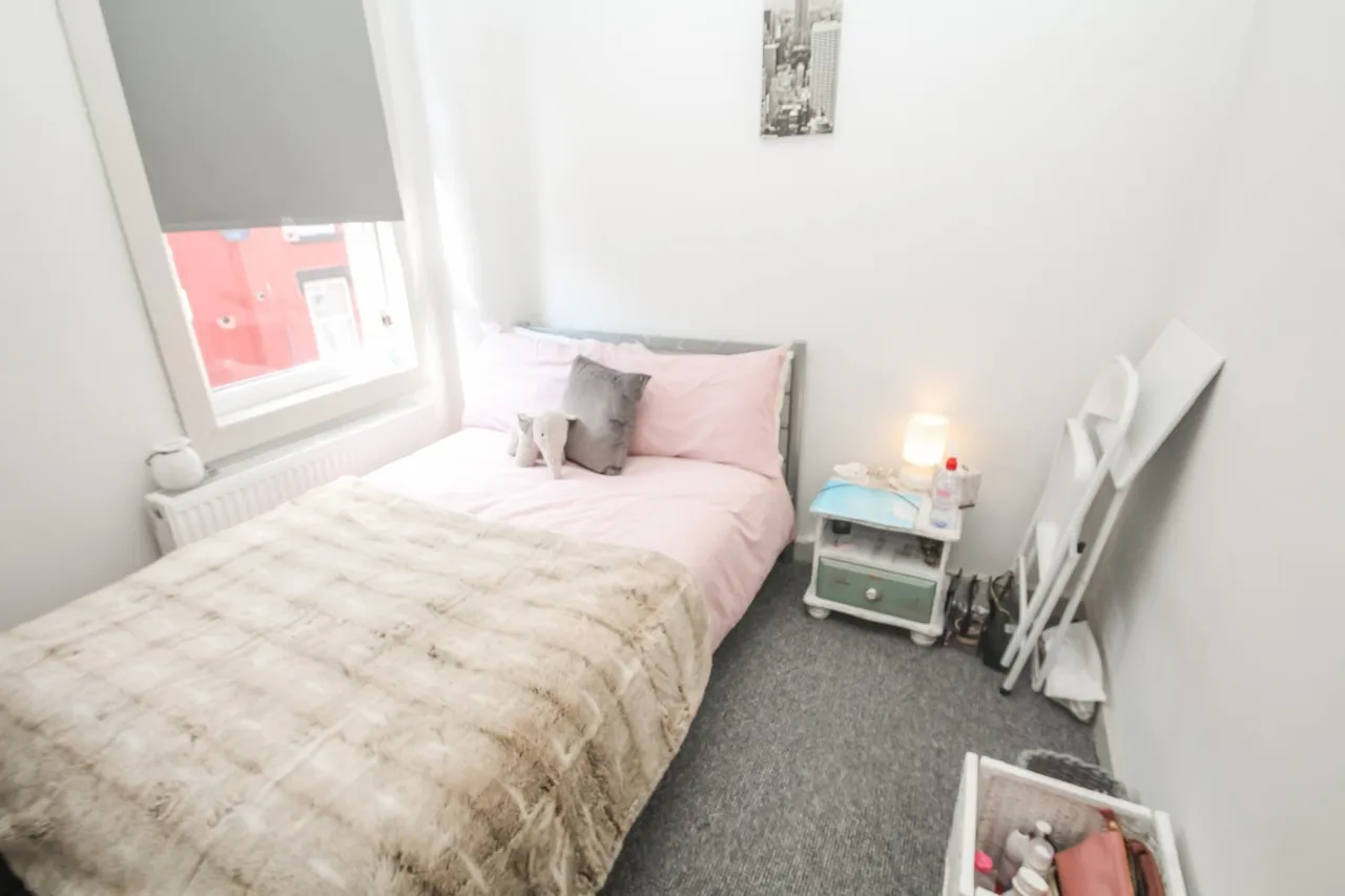 Thornville Avenue, Hyde Park, LS6, photo 6