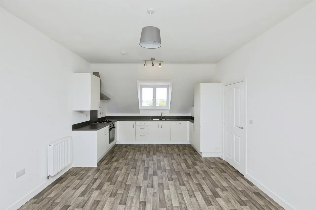Nathaniel Drive, Allestree, DE22, photo 5