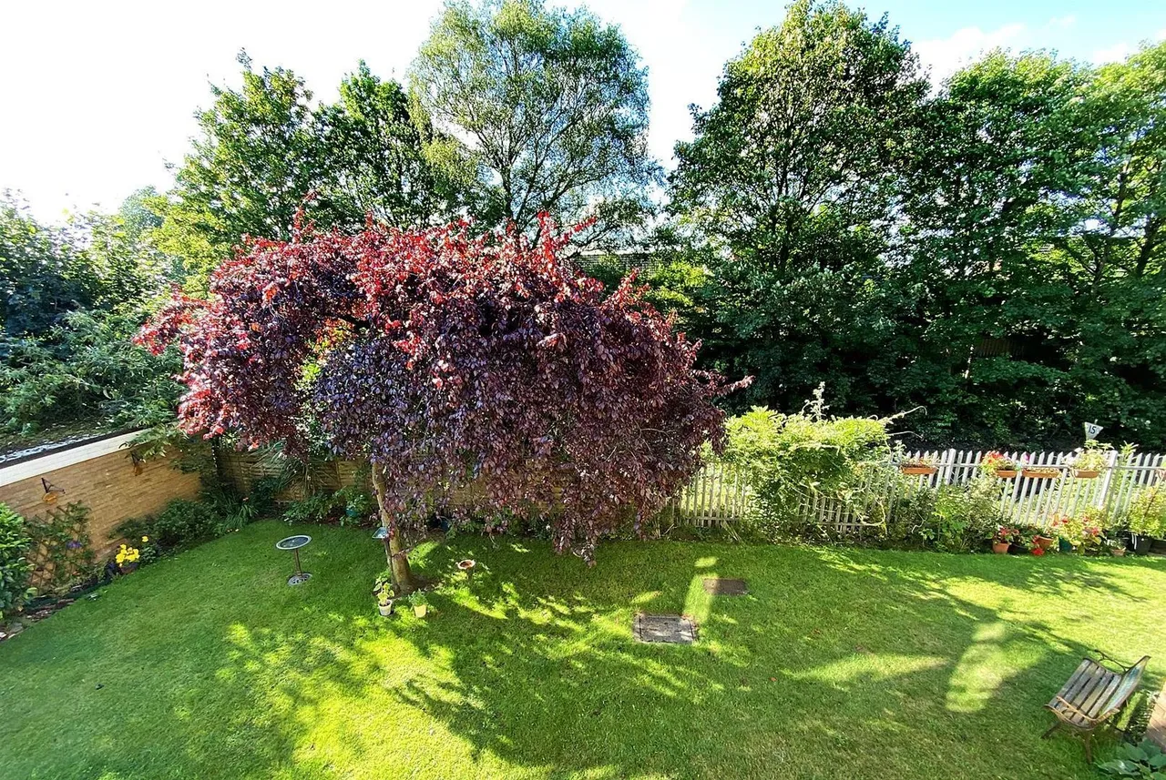 Eskdale Drive, Timperley WA15 7XU, photo 5