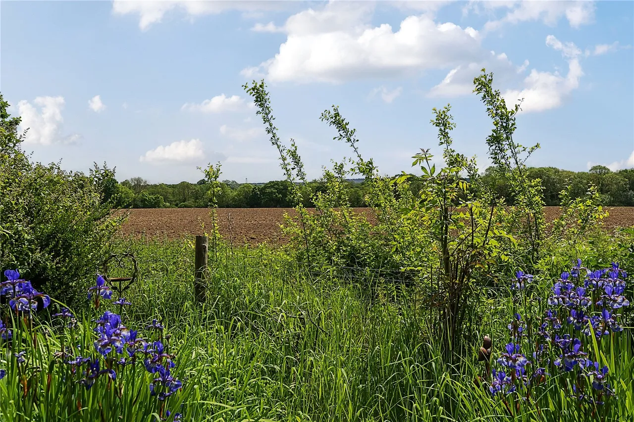 Church Lane, Dogmersfield, Hook, Hampshire, RG27 8SZ, photo 3