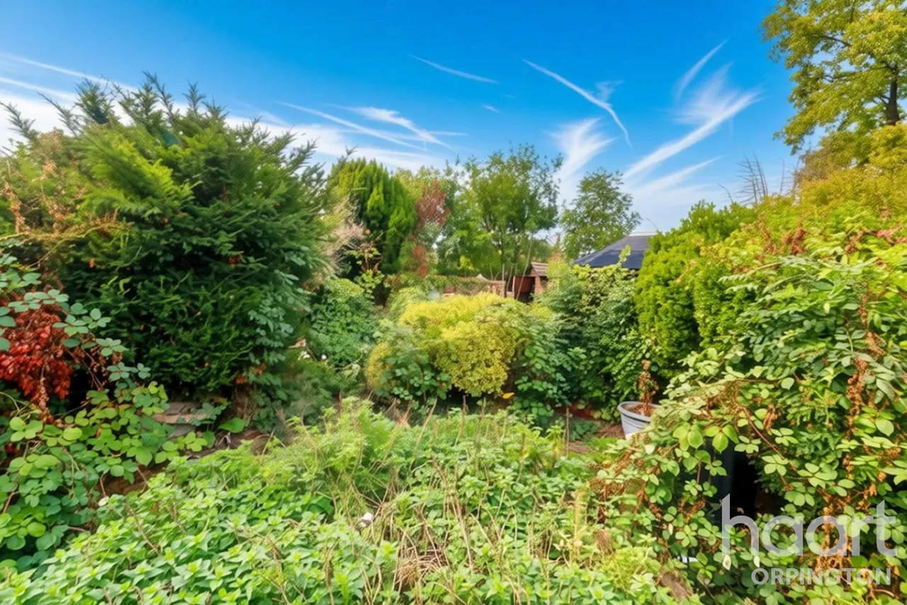 Kynaston Road, Orpington, BR5, photo 22