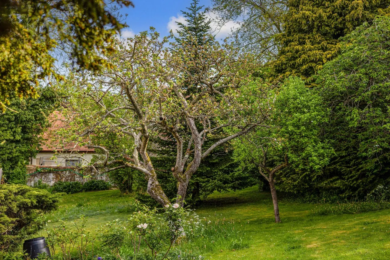 Warborough Road, Letcombe Regis, OX12, photo 23