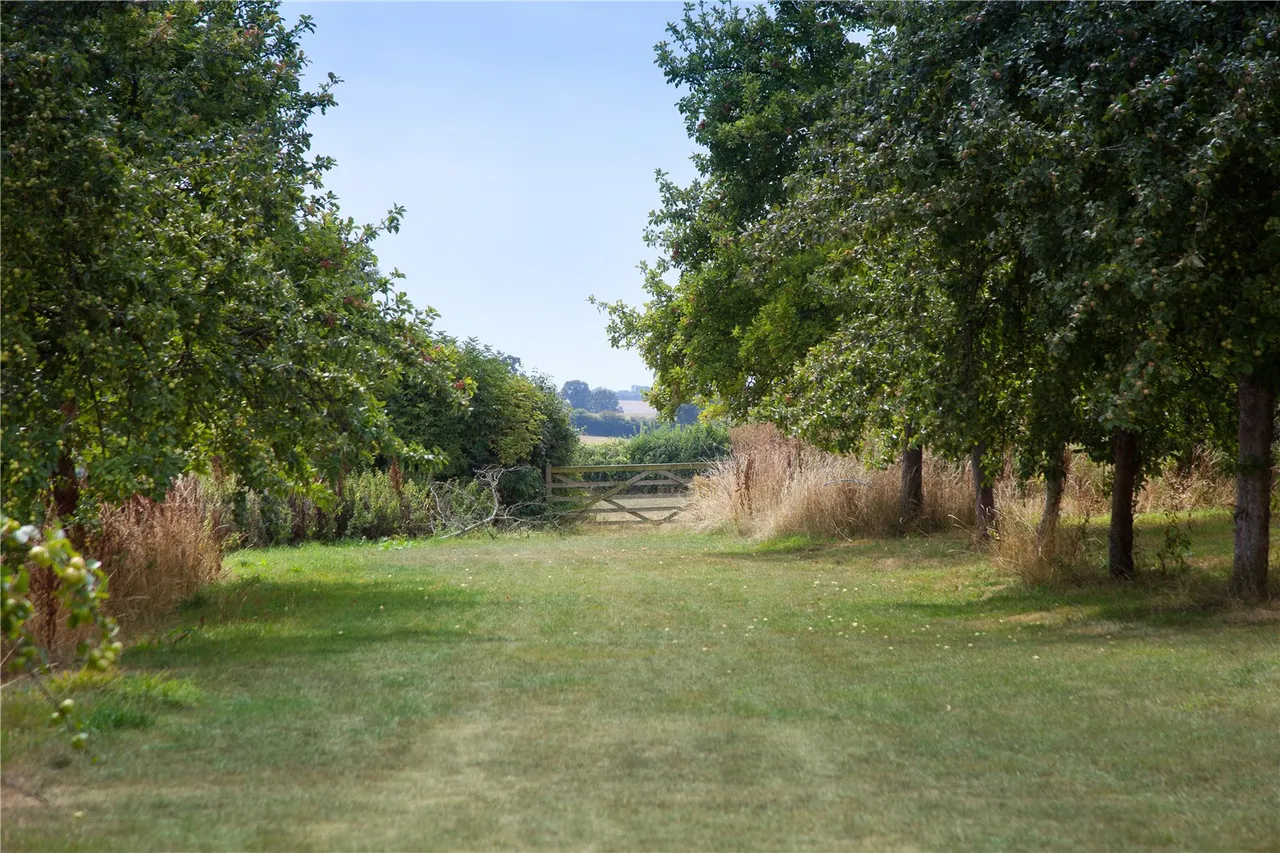 Holton, Wincanton, Somerset, BA9 8AR, photo 4