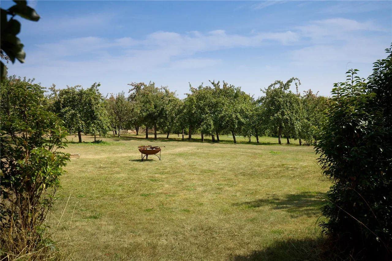 Holton, Wincanton, Somerset, BA9 8AR, photo 18