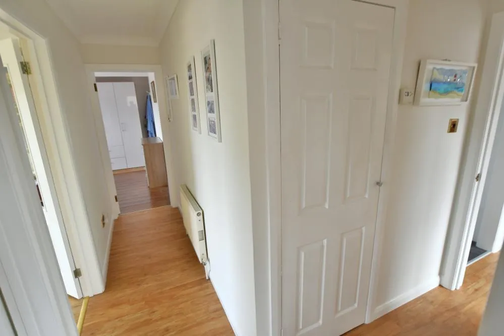 Mimosa Avenue, Wimborne, BH21, photo 9