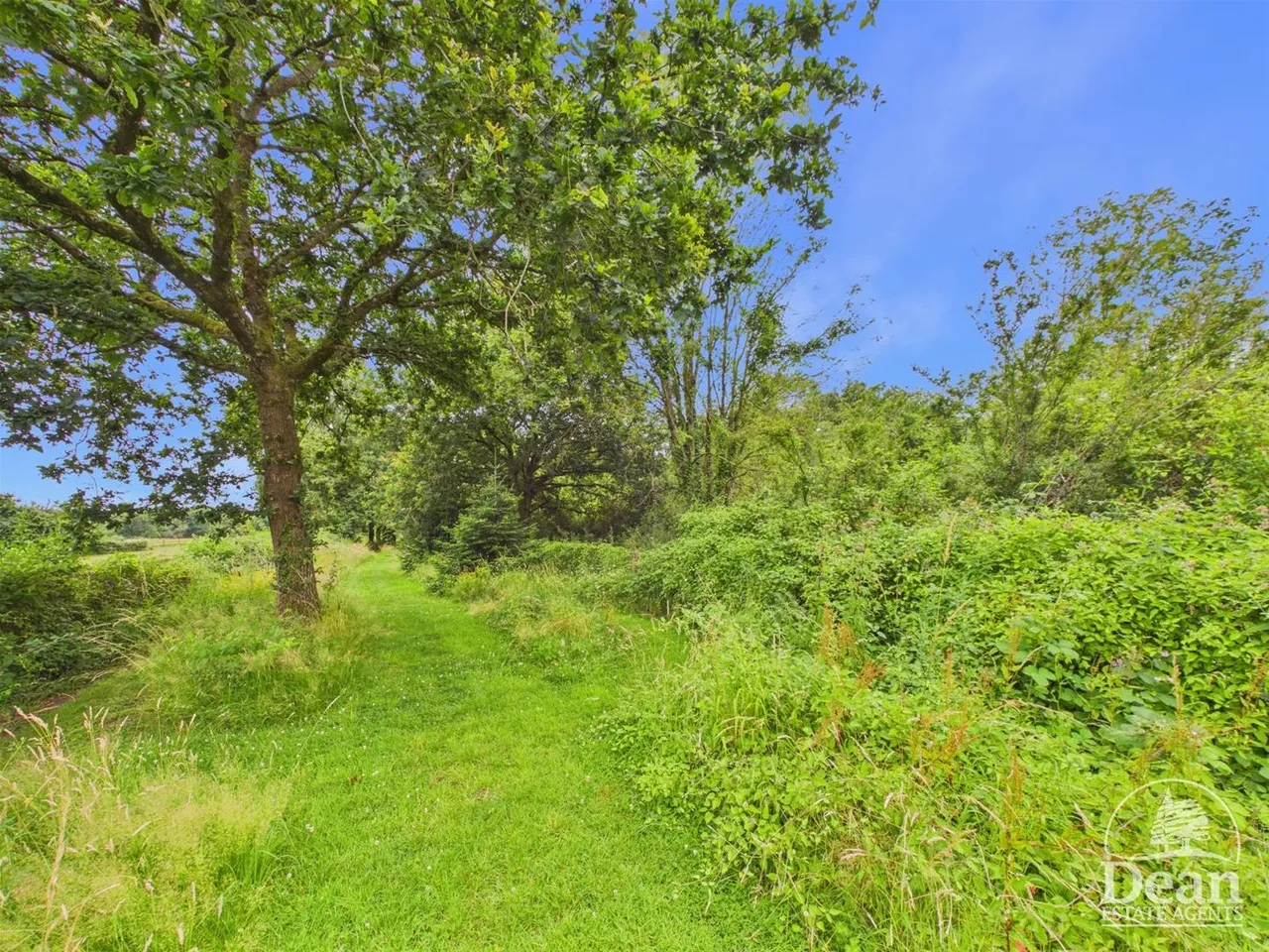 Bullo Pill, Newnham, GL14, photo 40