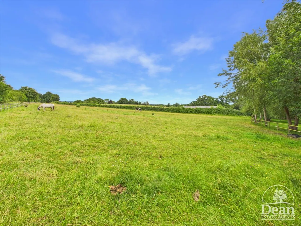 Bullo Pill, Newnham, GL14, photo 37