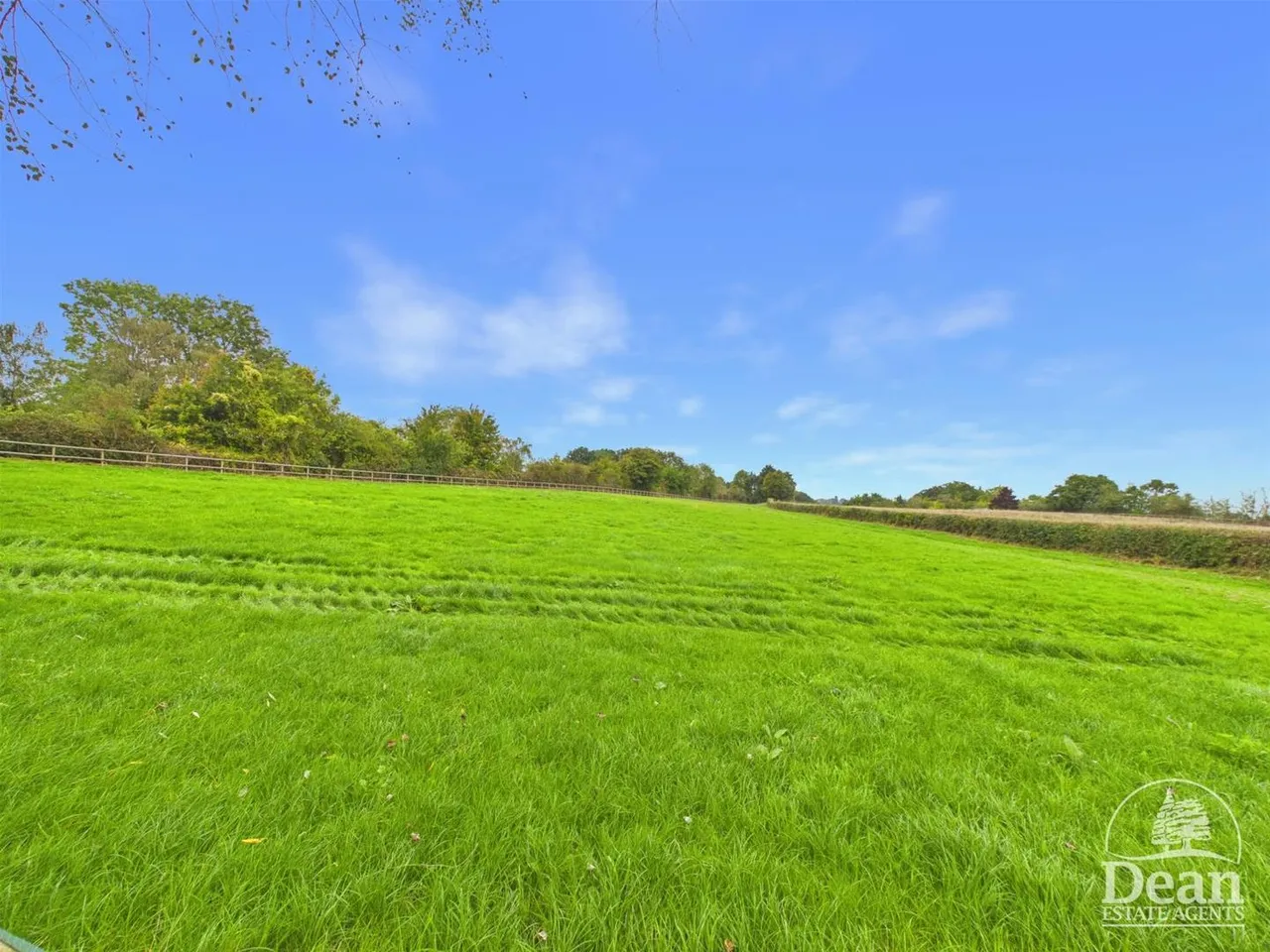 Bullo Pill, Newnham, GL14, photo 35