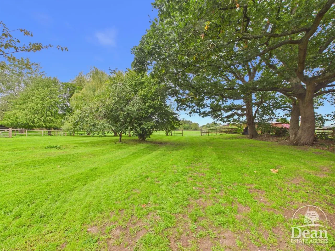Bullo Pill, Newnham, GL14, photo 32